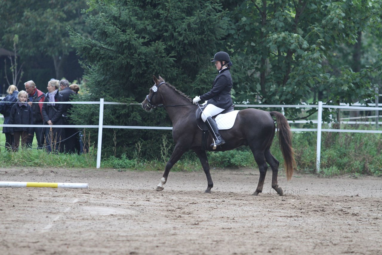Bild 460 - WBO-Turnier am 18.9.11